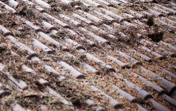 Ashby St Ledgers roof cleaning companies